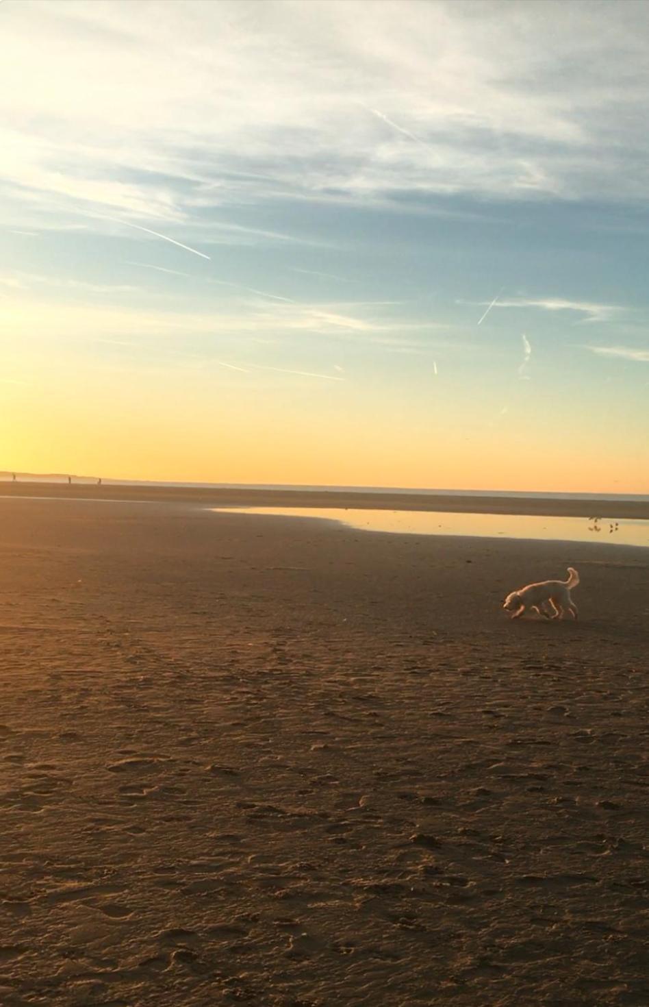 Strandloper Camping Scharendijke